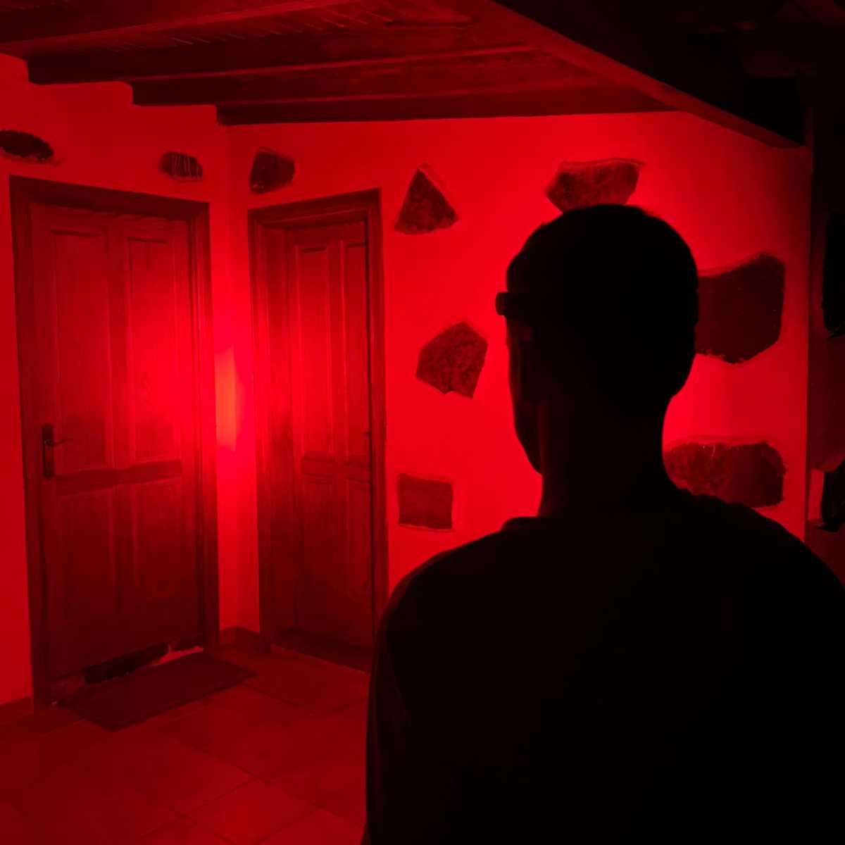 GLOWFOX - HEADPRO