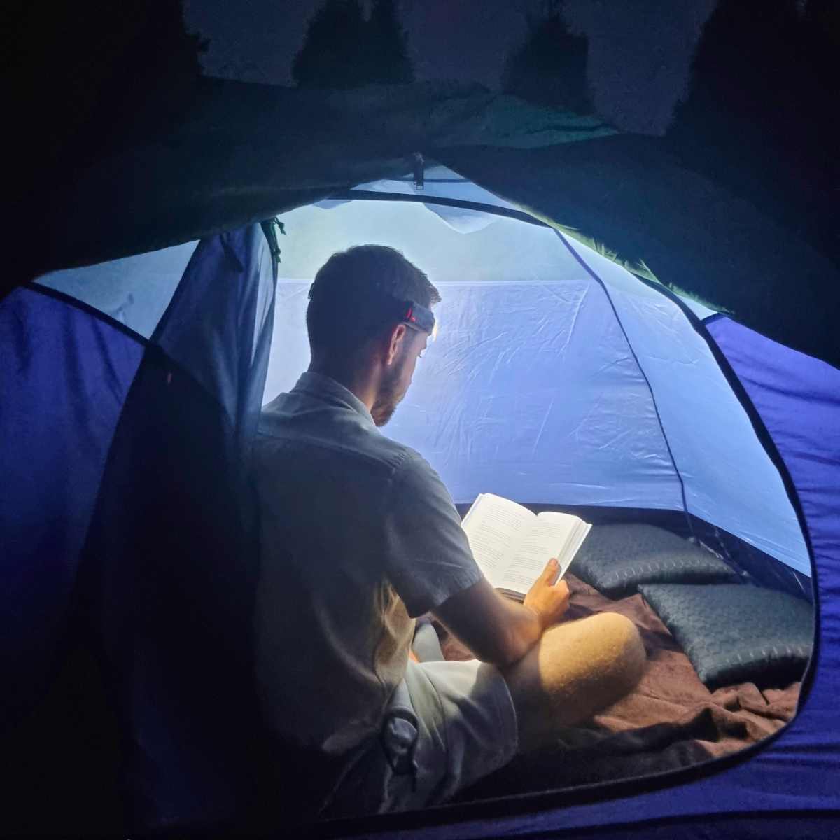 GLOWFOX - HEADMAX - Glowfox.cz